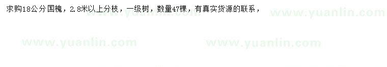 求購18公分國槐