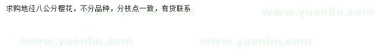 求購地徑8公分櫻花