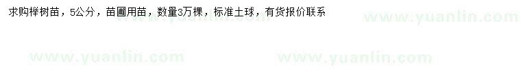 求購5公分櫸樹