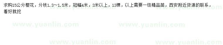 求購15公分櫻花