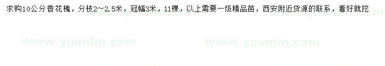 求購(gòu)10公分香花槐
