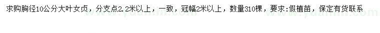 求購胸徑10公分大葉女貞