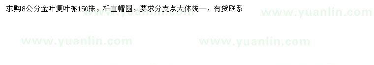 求購8公分金葉復葉槭