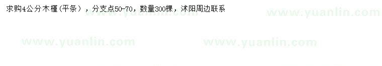 求購4公分木槿