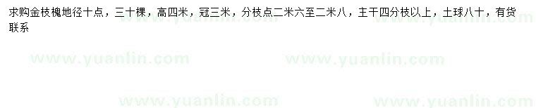 求購地徑10公分金枝槐