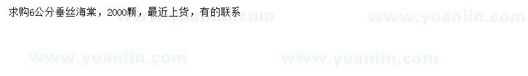 求購6公分垂絲海棠