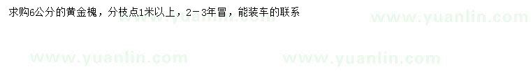 求購6公分黃金槐