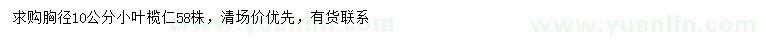 求購胸徑10公分小葉欖仁