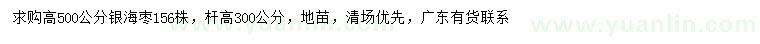 求購高500公分銀海棗