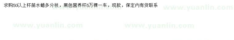 求購50公分以上水蠟