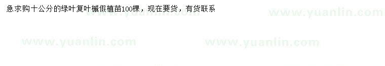 求購(gòu)10公分綠葉復(fù)葉槭