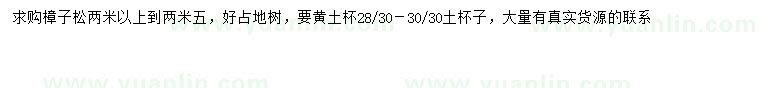 求購(gòu)2-2.5米樟子松