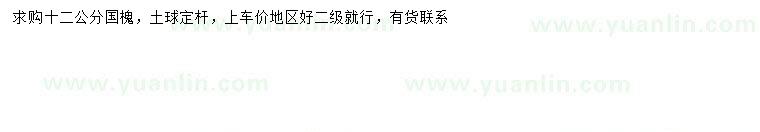 求購12公分國槐