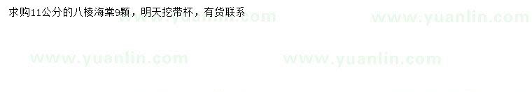 求購11公分八棱海棠