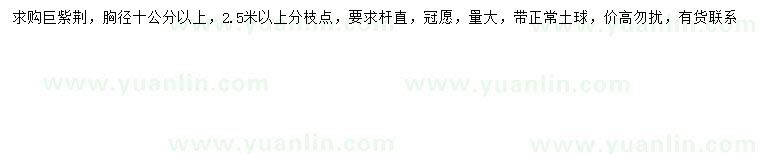 求購胸徑10公分以上巨紫荊