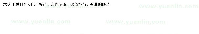 求購11分支以上丁香