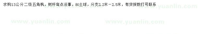 求購(gòu)13公分五角楓
