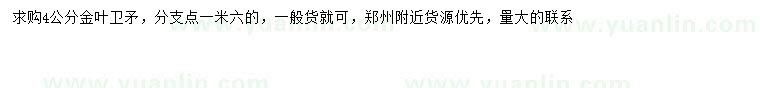 求購4公分金葉衛(wèi)矛