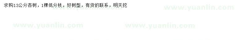 求購13公分杏樹(shù)