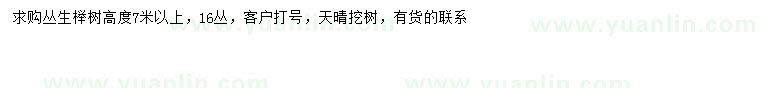 求購(gòu)高7米以上叢生櫸樹