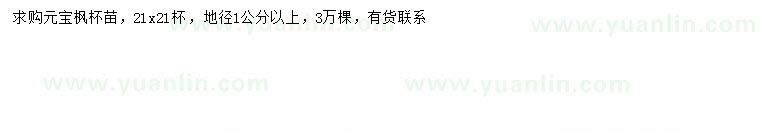 求購(gòu)地徑1公分以上元寶楓