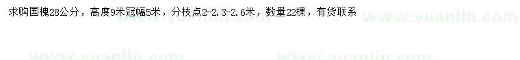 求購28公分國槐