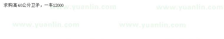 求購高40公分衛(wèi)矛