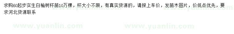 求購60公分以上白榆