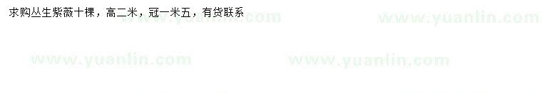 求購冠幅1.5米叢生紫薇