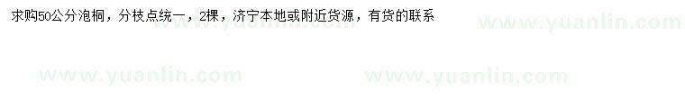 求購50公分泡桐
