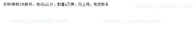 求購地徑4公分柳樹