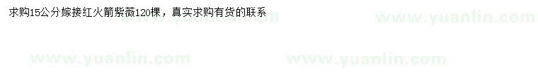 求購15公分紅火箭紫薇