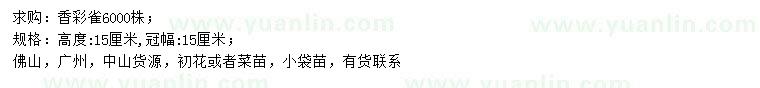 求購高15公分香彩雀