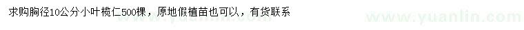 求購胸徑10公分小葉欖仁