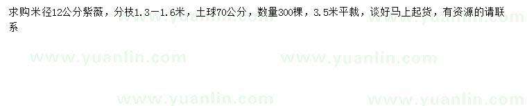 求購米徑12公分紫薇