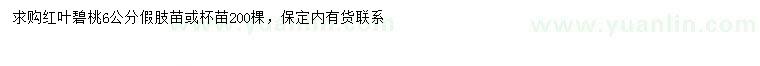 求購6公分紅葉碧桃