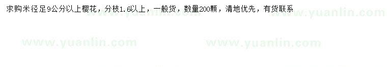 求購米徑9公分以上櫻花