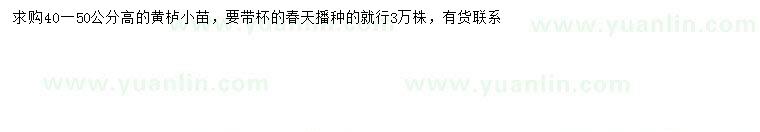 求購高40-50公分黃櫨小苗