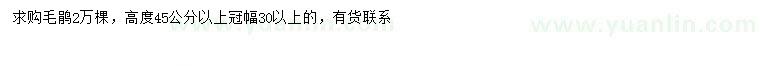求購(gòu)高45公分以上毛鵑