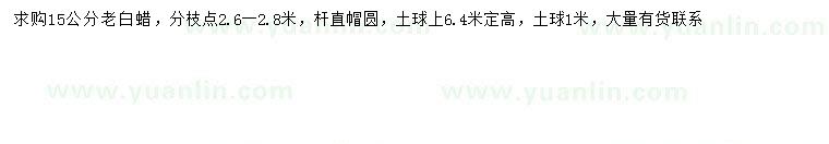求購15公分老白蠟