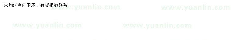 求購(gòu)高50公分衛(wèi)矛