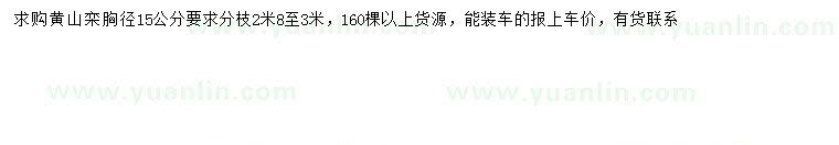 求購胸徑15公分黃山欒