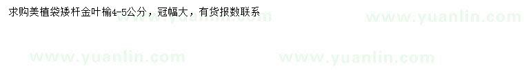 求購4-5公分金葉榆