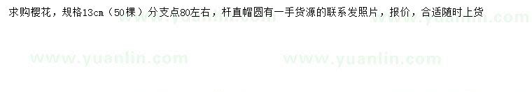 求購13公分櫻花