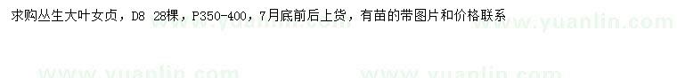 求購(gòu)地徑8公分叢生大葉女貞