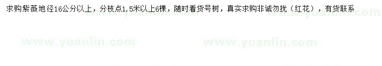 求購(gòu)地徑16公分以上紫薇