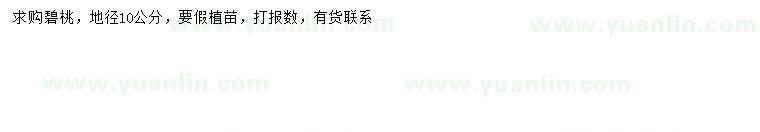 求購地徑10公分碧桃