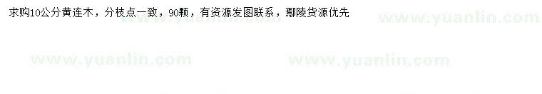 求購(gòu)10公分黃連木