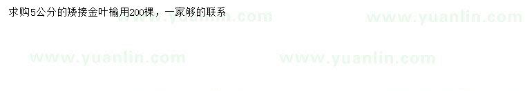 求購5公分金葉榆