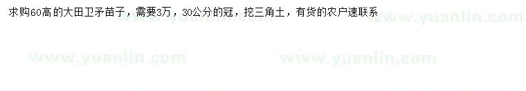求購高60公分衛(wèi)矛